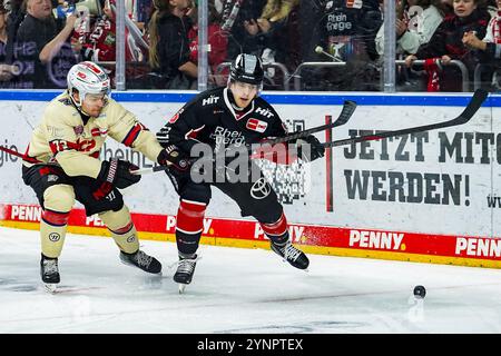 Allemagne. 26 novembre 2024. Eishockey Penny-DEL 20.Spieltag Koelner haie - Nuernberg Ice Tigers AM 26.11.2024 in der Lanxess Arena in Koeln Roman Kechter ( Nuernberg ), links - Robin van Calster ( Koeln ), rechts Gemaess den Vorgaben der DEL Deutsche Eishockey Liga ist die Publikation und Weiterverwertung der Aufnahmen in elektronischen Medien und Endgeraeten Art wendaeten Spikallel. Foto : Revierfoto crédit : ddp Media GmbH/Alamy Live News Banque D'Images