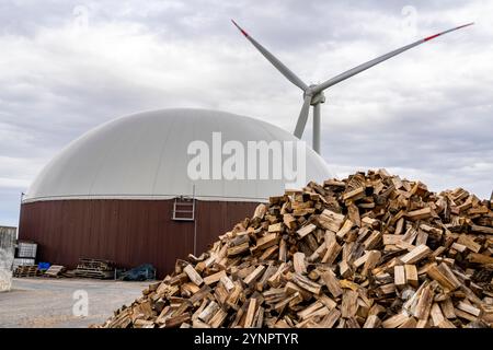 L'usine de biogaz produit du gaz à partir de diverses biomasse, ici le stockage du bois, l'électricité est produite dans des centrales de chaleur et d'électricité combinées avec le biogaz p Banque D'Images