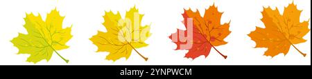 Feuilles d'érable d'automne jaune, orange et rouge Illustration de Vecteur