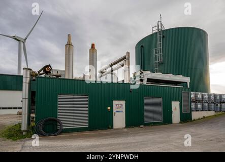 Usine de biogaz, centrale combinée de chaleur et d'électricité, avec réservoir de stockage d'eau chaude, le gaz est produit à partir de diverses biomasse, y compris les déchets de l'indu alimentaire Banque D'Images