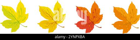 Feuilles d'érable d'automne jaune, orange et rouge Illustration de Vecteur