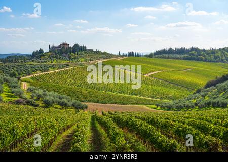 Paysage des vignobles de Radda in Chianti en automne. Vertine, Province de Sienne, région Toscane, Italie, Europe. Banque D'Images