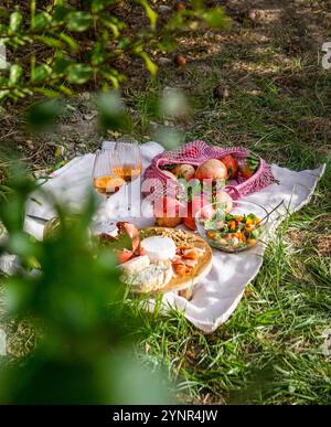 scène de pique-nique vue sur la vie avec grenades fraîches, noix, pignons de pin et fromage blanc crémeux exposés sur une planche de bois, pomegra naturel ensoleillé Banque D'Images