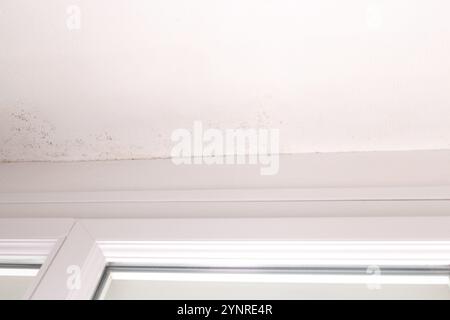 Plafond près du cadre de fenêtre avec des taches de moisissure et des dommages d'humidité sur la surface texturée blanche, problème de qualité de l'air intérieur, concept de sensibilisation et de prévention Banque D'Images