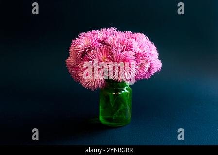 bouquet de fleurs chrysanthème rose sur fond noir texture de papier aquarelle dans un vase carré en verre Banque D'Images
