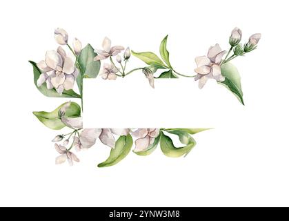 Gardenia fleurs aquarelle bordure horizontale isolée. Cadre floral dans les tons rose pâle dans le style botanique dessiné à la main. Fleur de jasmin et feuillage Banque D'Images
