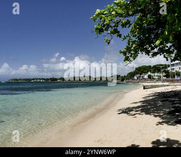 Plage du Bourg, Sainte Anne Guadeloupe. Paysage de plage des Caraïbes et côte à Grande Terre en plein soleil Banque D'Images