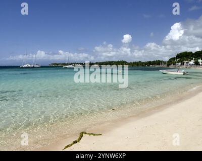 Plage idyllique à Sainte Anne, Guadeloupe. Plage du bourg avec mer, sable et soleil dans les petites antilles Banque D'Images