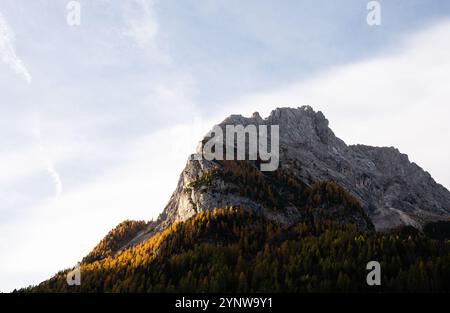 Lumière dorée sur un paysage d'automne dans les dolomites en italie. Le ciel bleu est au-dessus, les mélèzes brillent au soleil Banque D'Images