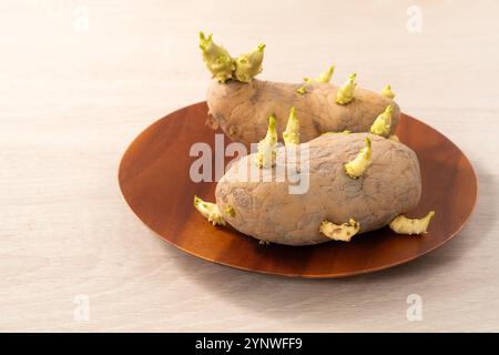 Pommes de terre germées sur fond de table en bois, empoisonnement pour la santé. Banque D'Images