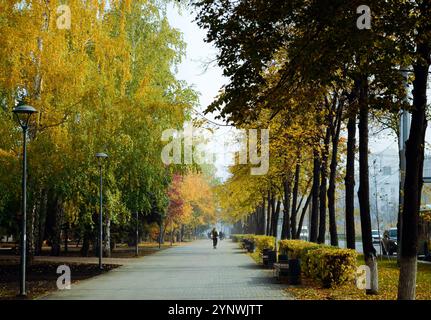 Un humain marche le long d'un sentier parmi une allée d'arbres d'automne Banque D'Images