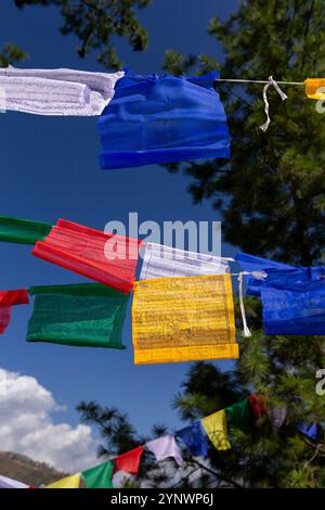 Un affichage vibrant de drapeaux de prière colorés flottant dans le vent sur fond d'un ciel bleu clair Banque D'Images