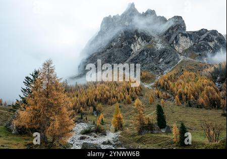 Lit de ruisseau sec dans un paysage d'automne haut à Val Contrin dans les dolomites près de Canazei Banque D'Images
