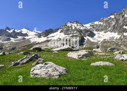 Vue du massif du Mont Blanc depuis le Pavillon du Skyway Monte Bianco, avec des sculptures d'ibexes sur rochers en été, Courmayeur, Vallée d'Aoste, Italie Banque D'Images