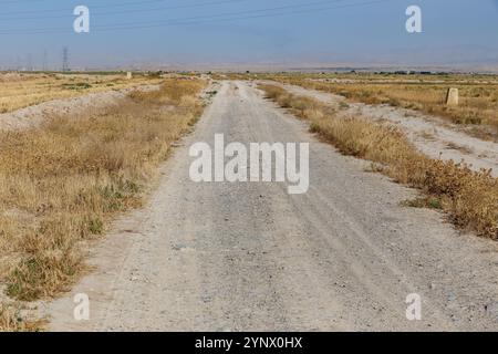 Une route poussiéreuse serpente à travers un champ sec, flanquée d'herbes hautes et de végétation clairsemée sous un ciel bleu clair. Banque D'Images