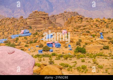 Les rochers peints près de Tafraoute / Tafrout dans les montagnes anti atlas du Maroc Banque D'Images