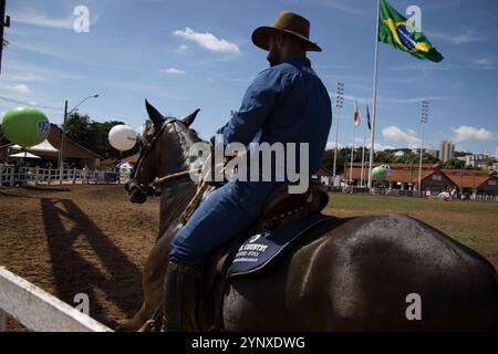 Un homme portant un chapeau de cow-boy monte un cheval dans une arène en terre battue. L'homme porte une chemise bleue et un Jean avec le drapeau du Brésil sur le fond Banque D'Images
