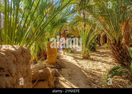 Femme touriste marchant dans la Palmerie (palmeraie) à la ville oasis d'Akka, province de Tata, Souss-Massa, Maroc Banque D'Images