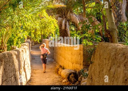 Femme touriste marchant dans la Palmerie (palmeraie) à la ville oasis d'Akka, province de Tata, Souss-Massa, Maroc Banque D'Images