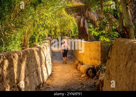 Femme touriste marchant dans la Palmerie (palmeraie) à la ville oasis d'Akka, province de Tata, Souss-Massa, Maroc Banque D'Images