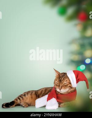 Adorable chat bengale en chapeau de père noël. Chat de Noël pour la publicité isolé sur fond de nouvel an d'hiver. Copier l'espace. Banque D'Images