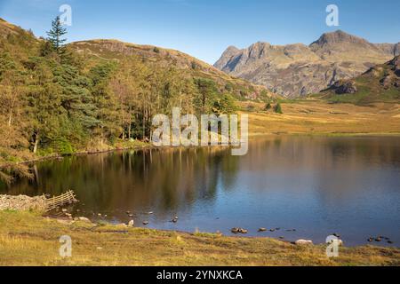 Royaume-Uni, Angleterre, Cumbria, Langdale, camping sauvage illégal dans les bois sur les rives de Blea Tarn Banque D'Images