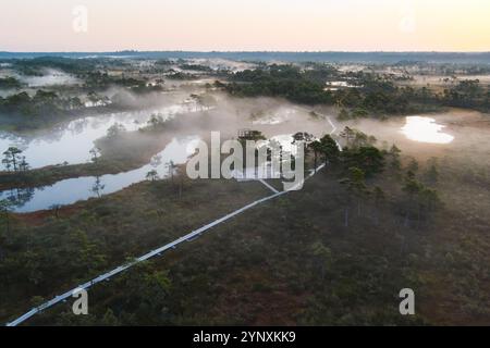 Nature estonienne un matin d'automne brumeux. Seli raba et un sentier de randonnée avec une tour d'observation. Vue photo depuis un drone. Banque D'Images