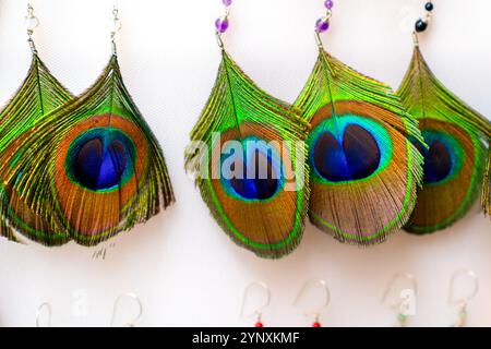 Boucle d'oreille fabriquée à partir d'ailes colorées de paon Banque D'Images