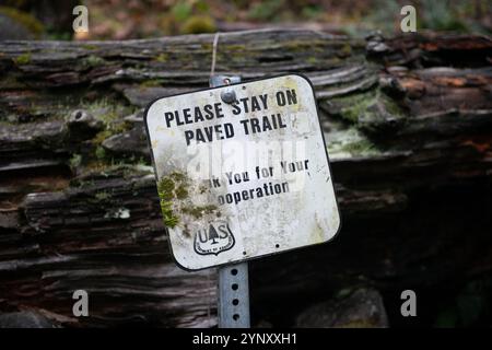 Veuillez rester sur le panneau pavé Trail devant une bûche tombée sur un sentier de randonnée, Oregon, États-Unis Banque D'Images