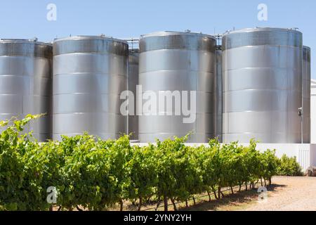 Vignobles avec fermentation en acier inoxydable et cuves de stockage sur Van Loveren Wine Estate, Robertson, Western Cape Winelands, Afrique du Sud Banque D'Images