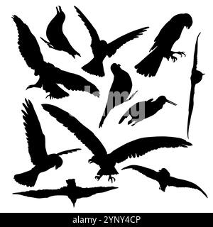 Ensemble de silhouettes décoratives d'oiseaux. Oiseaux volant et assis. dessin à la main. Pas IA. Illustration vectorielle Illustration de Vecteur
