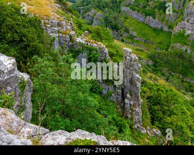 Vue sur les falaises de calcaire du carbonifère à Cheddar gorge une attraction touristique dans les collines de Mendip dans le Somerset sud-ouest de l'Angleterre Royaume-Uni Banque D'Images