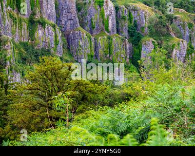 Vue sur les falaises de calcaire du carbonifère à Cheddar gorge une attraction touristique dans les collines de Mendip dans le Somerset sud-ouest de l'Angleterre Royaume-Uni Banque D'Images