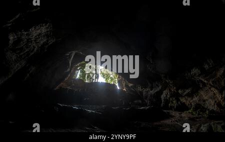 La lumière du soleil filtre à travers l'ouverture de Grutas de Cacahuamilpa, créant un spectacle à couper le souffle à l'intérieur de la grotte. Une végétation luxuriante est visible autour du Banque D'Images