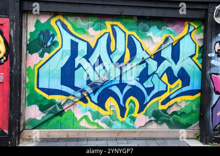 Graffiti marqué sur une clôture sur Alex Faulkner Lane à Etobicoke, Toronto, Ontario, Canada Banque D'Images