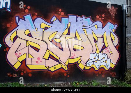 Arnaque 22 graffiti marqués sur une clôture sur Alex Faulkner Lane à Etobicoke, Toronto, Ontario, Canada Banque D'Images