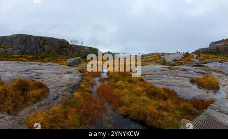 Une vue panoramique d'un paysage rocheux avec des taches d'herbe orange et jaune, de petits ruisseaux d'eau et un ciel nuageux. Banque D'Images