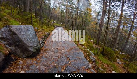 Un sentier en pierre dans une forêt en automne, entouré d'arbres aux feuilles jaunes et de gros rochers. Banque D'Images