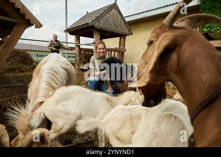 Jeune agricultrice nourrissant des chèvres dans la cour de la ferme d'élevage contre son père mettant du foin frais dans le mangeoire en bois Banque D'Images