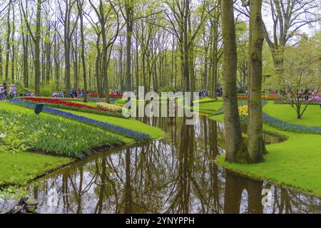 LISSE, PAYS-BAS, 22 AVRIL 2018 : beaucoup de gens apprécient les tulipes en fleurs dans le Keukenhof, le plus beau jardin printanier du monde Banque D'Images