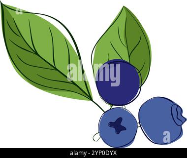 Clip art et illustration vectoriels de bleuets frais, conception de ligne graphique simple. image emblématique, design plat Illustration de Vecteur