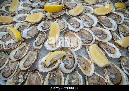 Huîtres sur le buffet demi-coquille Banque D'Images