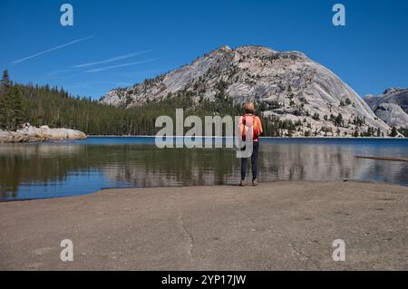 Vue arrière de la femme mature debout sur la rive du lac Banque D'Images
