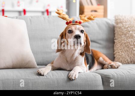 Chien beagle mignon dans les cornes de cerf de Noël couché sur le canapé à la maison Banque D'Images