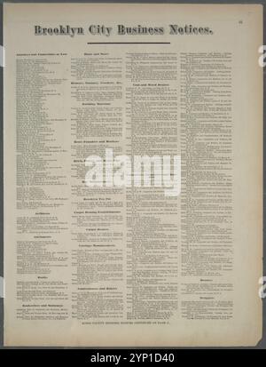Brooklyn City Business notices 1873 by Beers, F. W. (Frederick W.) Banque D'Images