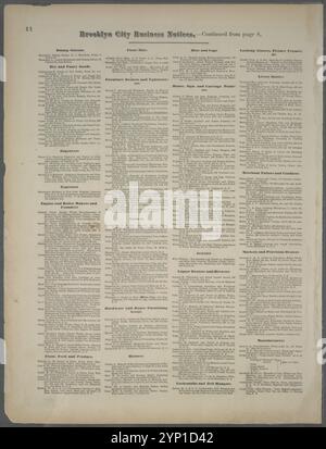 Notices commerciales de Brooklyn. [Suite de la page 8.] 1873 par Beers, F. W. (Frederick W.) Banque D'Images