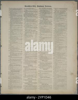 Brooklyn City Business notices, [suite de la page 8] 1873 by Beers, F. W. (Frederick W.) Banque D'Images