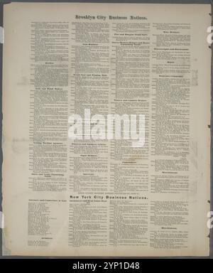 Notices commerciales de Brooklyn. [Suite de la page 8.] 1873 par Beers, F. W. (Frederick W.) Banque D'Images