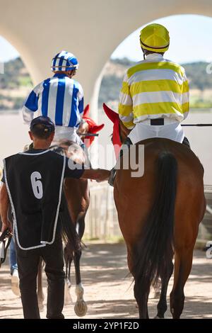 Chevaux de course et jockeys. Pure race dans l'hippodrome. Derby Banque D'Images