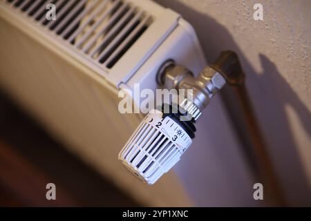 Ein Thermostatkopf an einem Heizkörper Heizkörper. Der Thermostatkopf steht auf Stufe 2. Symbolbild zum Thema Energiekosten AM 28.11.2024 à Siegen/Deutschland *** Une tête thermostatique sur un radiateur radiateur la tête thermostatique est réglée au niveau 2 image symbolique sur le sujet des coûts énergétiques sur 28 11 2024 à Siegen Allemagne Banque D'Images